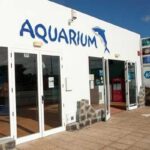 Lanzarote Aquarium featured